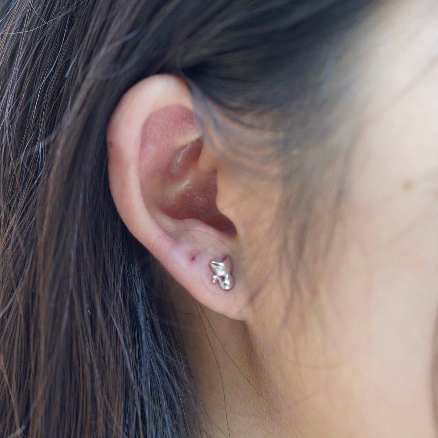 Whiskerlure Ear Studs