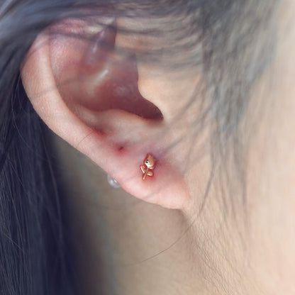 Rosette Dreams Ear Studs