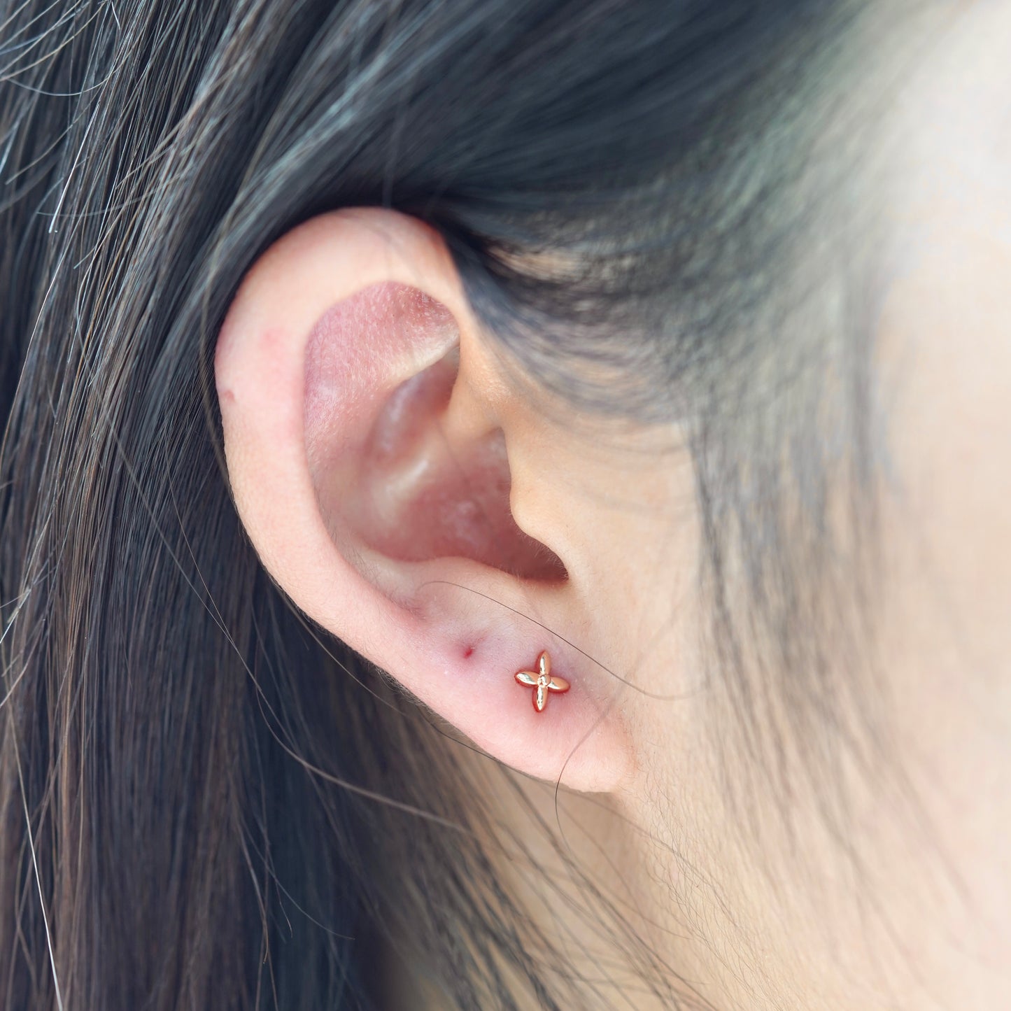 Ixora Ear Studs